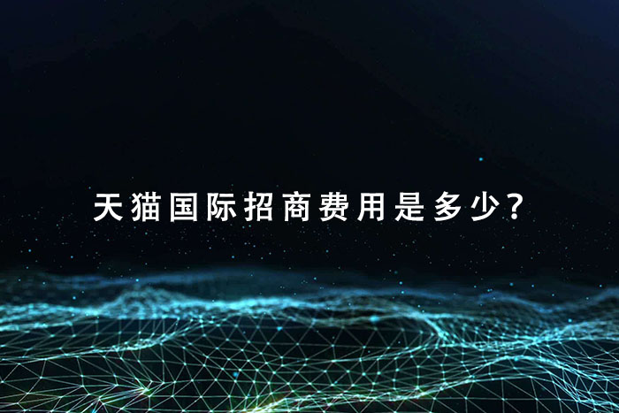 天猫国际招商费用是多少？
