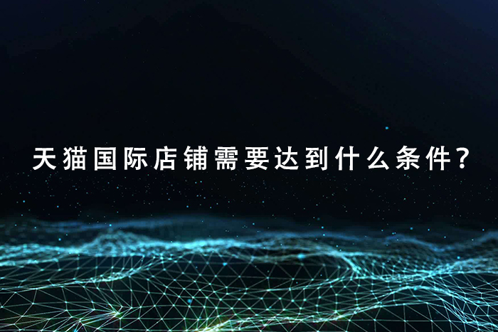 天猫国际店铺需要达到什么条件？