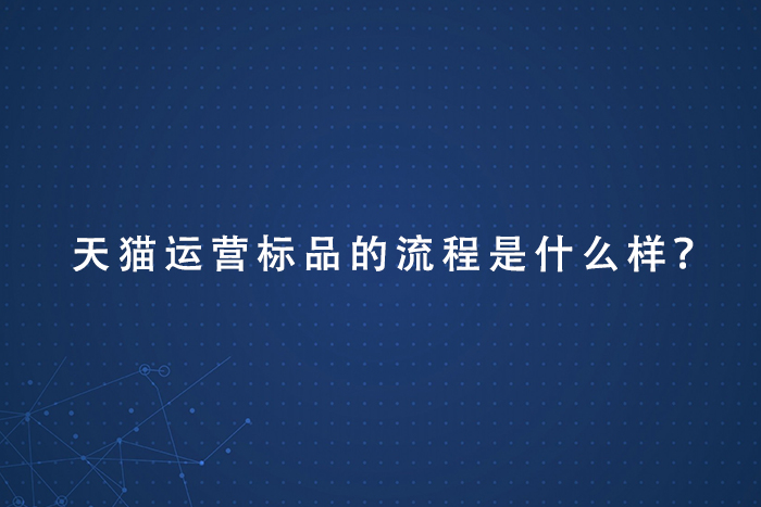 天猫运营标品的流程是什么样？