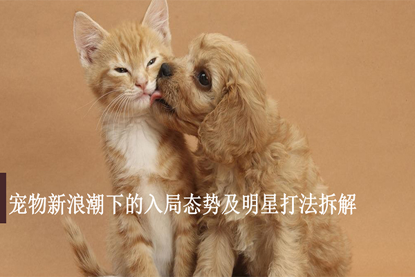 宠物新浪潮下的入局态势及明星打法拆解
