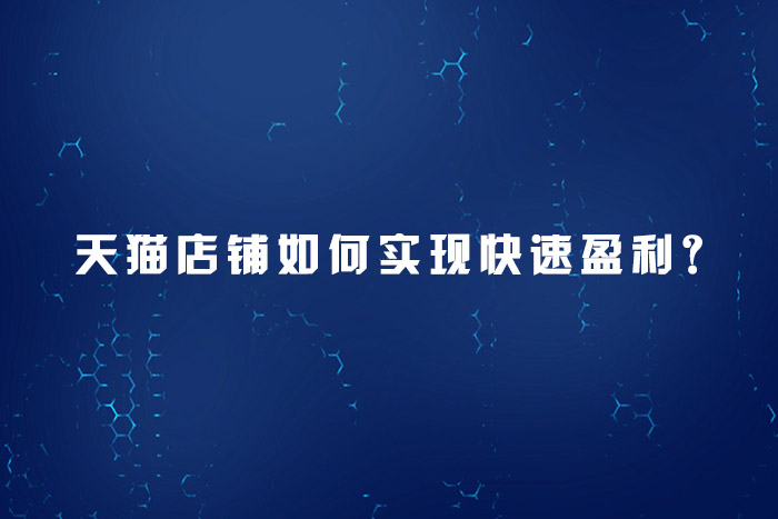 天猫店铺如何实现快速盈利？