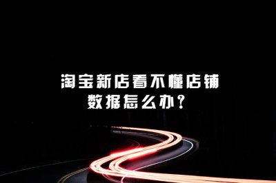 淘宝新店看不懂店铺数据怎么办？