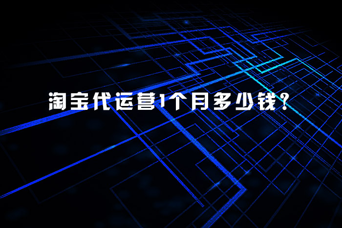 淘宝代运营1个月多少钱？